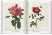 [ - Nouveauté Taschen ] ROSES. The Complete Plates 1817-1824 / Toutes les planches 1817-1824 - Pierre-Joseph Redouté. Texte de H. Walter Lack (po)