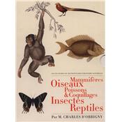 [ORBIGNY (d')] LES PLANCHES DU "DICTIONNAIRE D'HISTOIRE NATURELLE" : Mammifres, Oiseaux, Poissons & Coquillages, Insectes, Reptiles (5 volumes) - Par M. Charles d'Orbigny